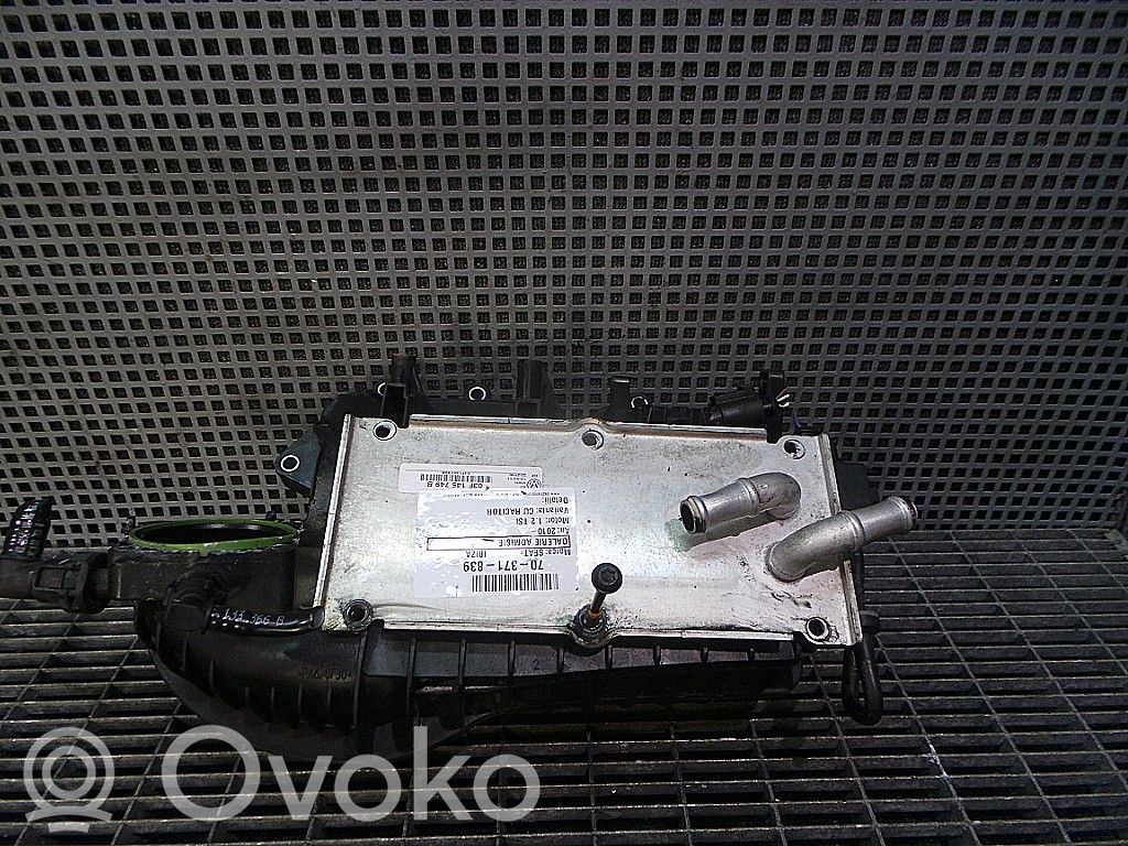 Seat Ibiza IV (6J,6P) Collecteur d'admission