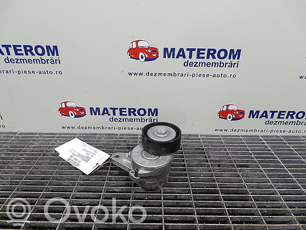 Volkswagen Tiguan Întinzător curea alternator 