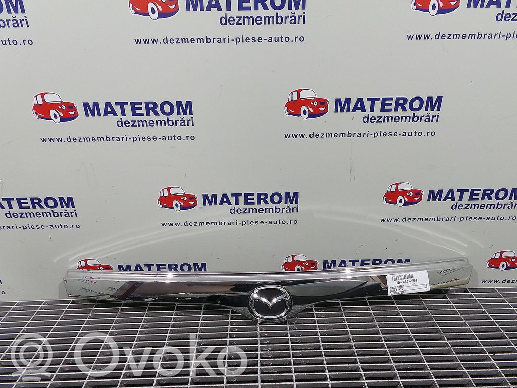 Oberes Gitter vorne   BJ0E50711