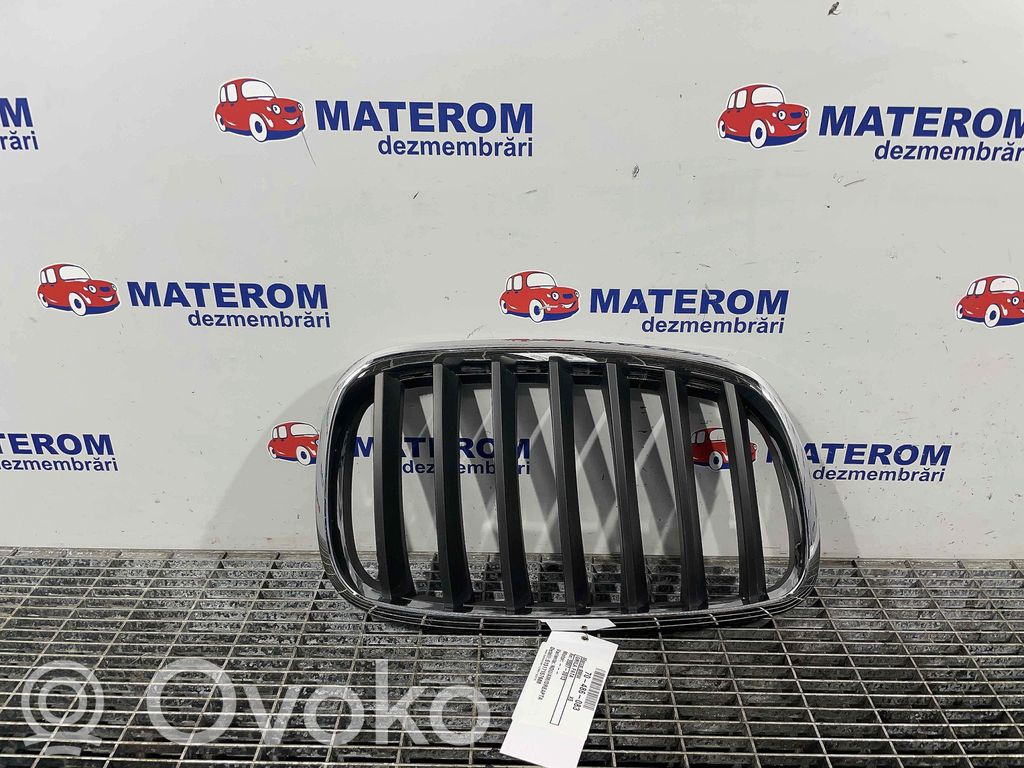 BMW X5 E70 Oberes Gitter vorne