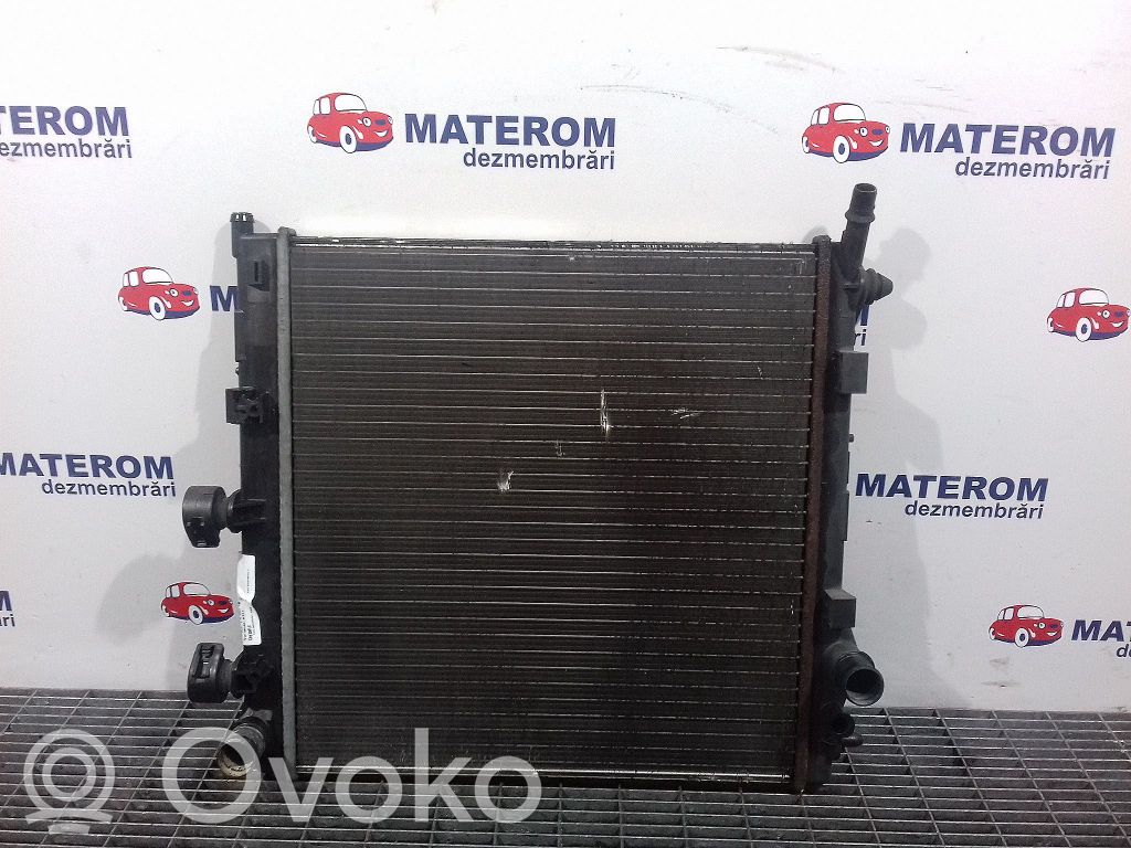 Peugeot 207 Coolant radiator 