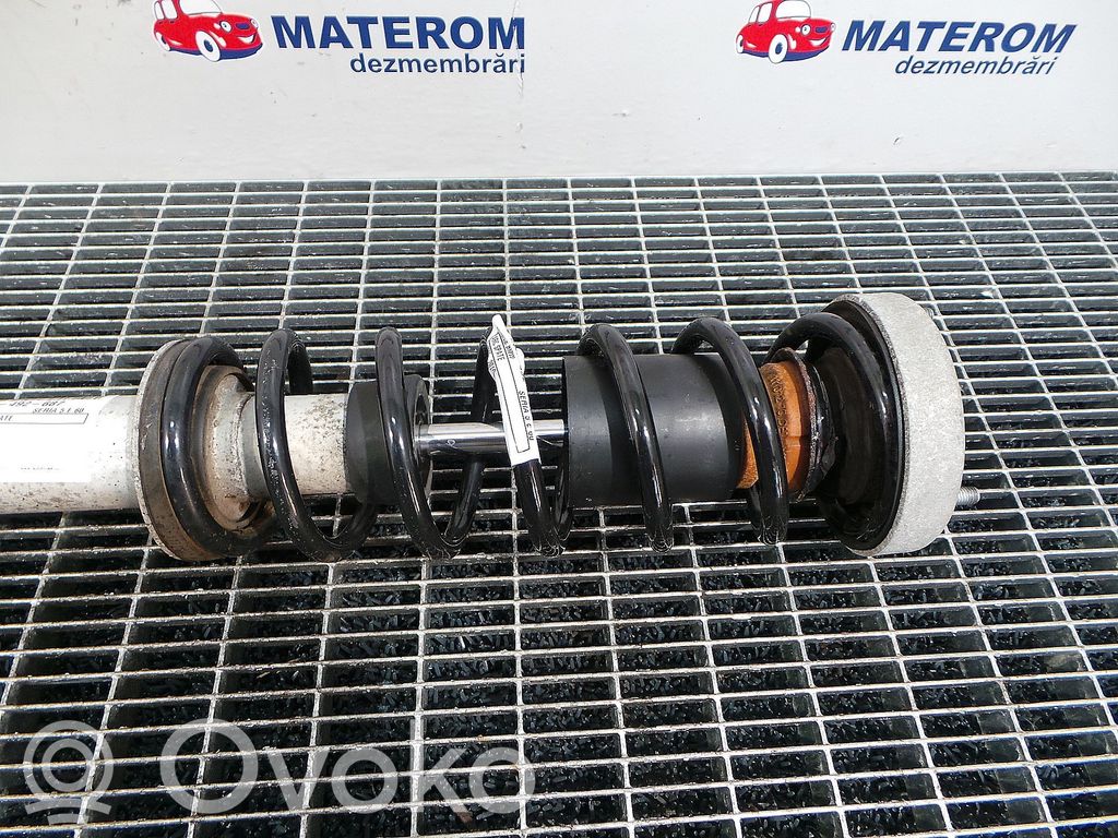 Rear coil spring   33536763052