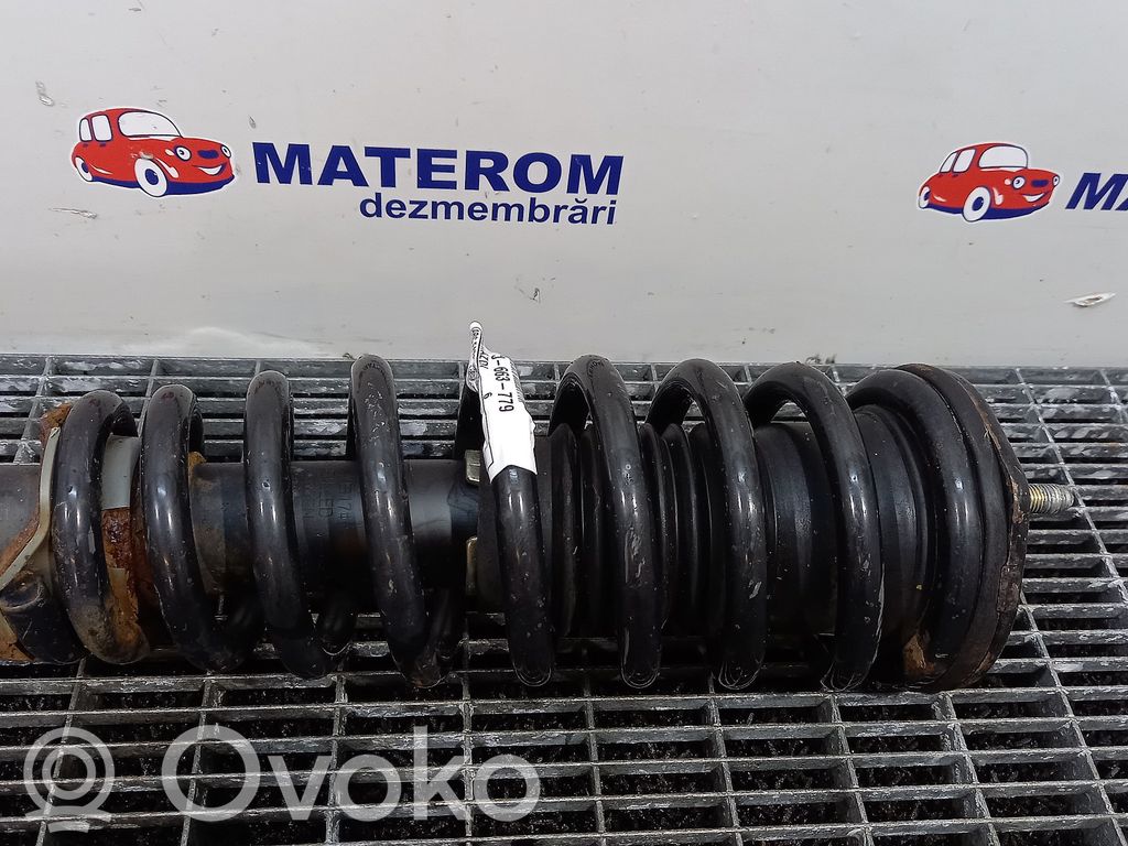 Front coil spring   GAM734011
