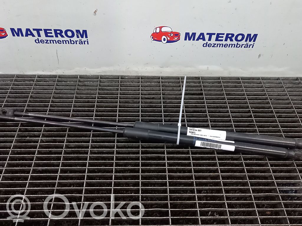 BMW X1 E84 Ammortizzatore portellone posteriore/bagagliaio 