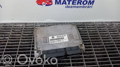 Seat Ibiza III (6L) Centralina/modulo del motore