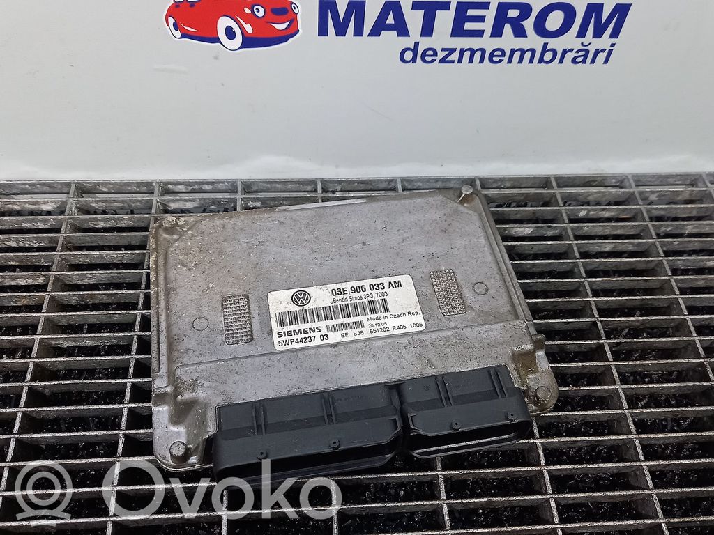 Seat Ibiza III (6L) Centralina/modulo del motore 