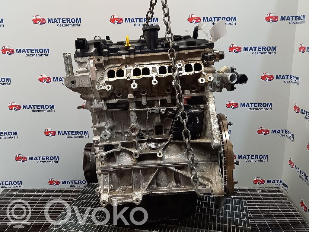 Motore   P5Y602300C