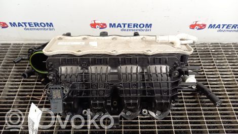 Skoda Fabia Mk3 (NJ) Kolektor ssący