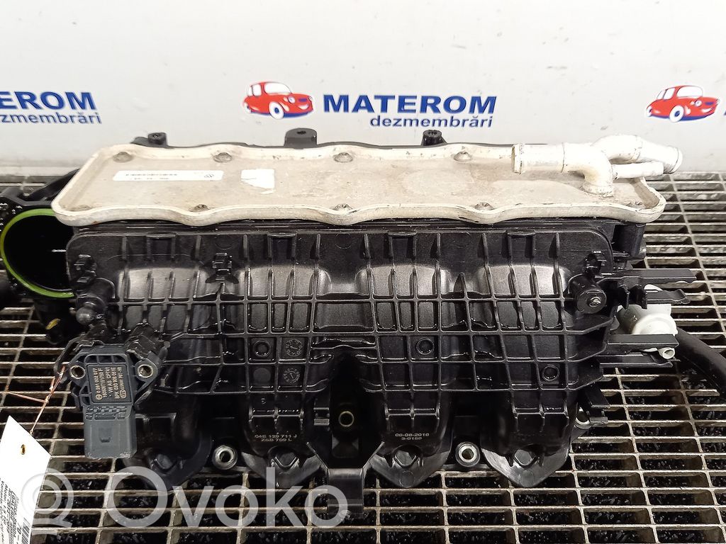 Skoda Fabia Mk3 (NJ) Collettore di aspirazione 