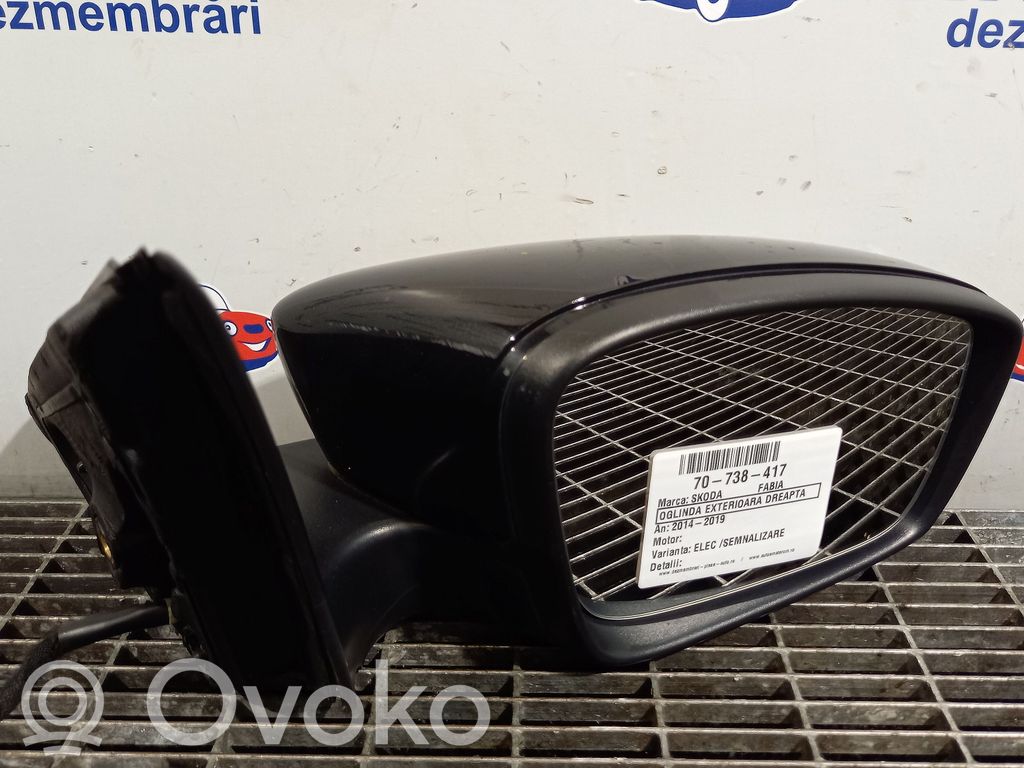 Skoda Fabia Mk3 (NJ) Elektryczne lusterko boczne drzwi 