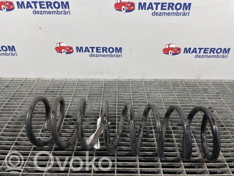 Ford Focus Feder hinten