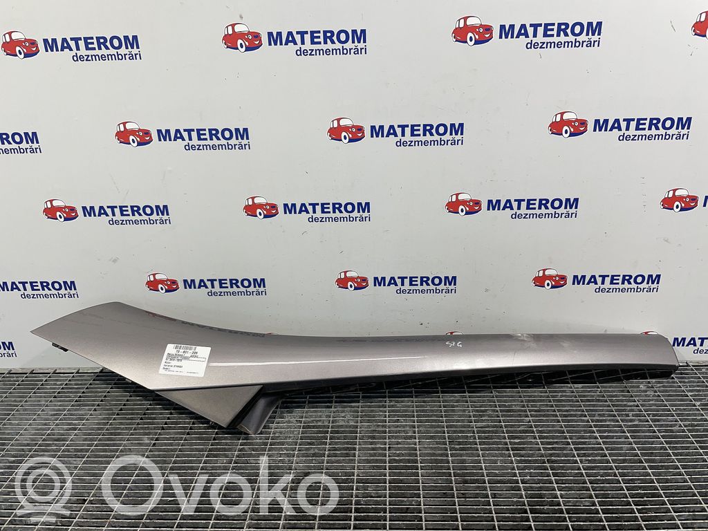 Listwa szyby czołowej / przedniej   768350901R