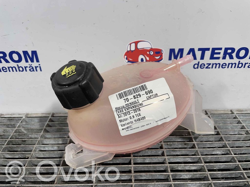 Renault Captur Serbatoio di compensazione del liquido refrigerante/vaschetta