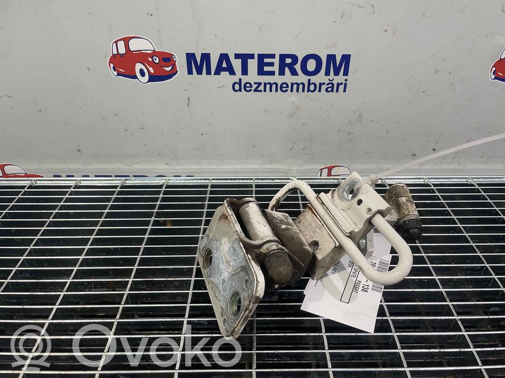 Volkswagen PASSAT B7 Set di cerniere portiera posteriore 