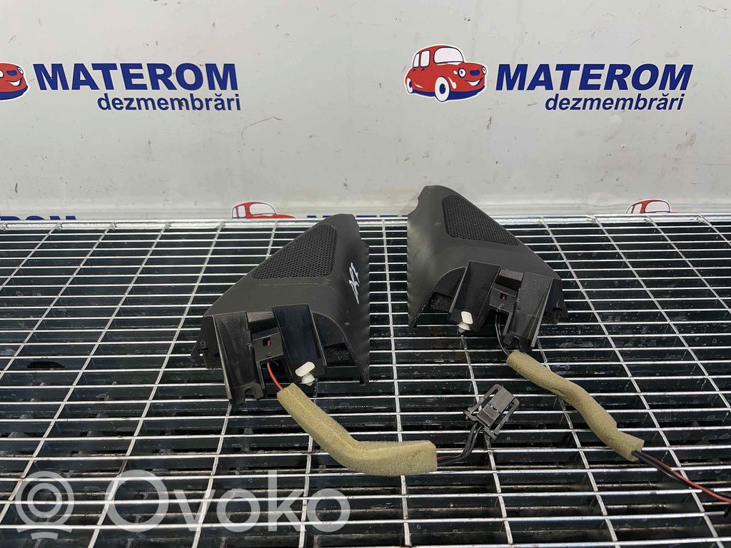 Volkswagen PASSAT B7 Głośnik drzwi przednich 