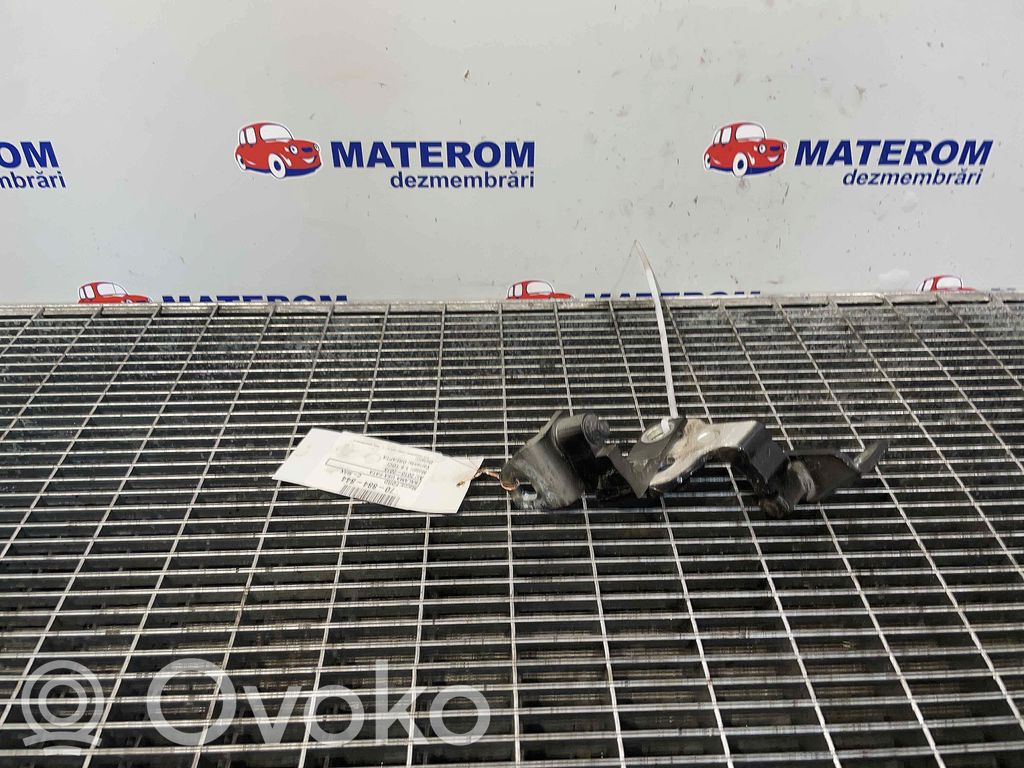 Ford C-MAX II Engine bonnet/hood hinges 