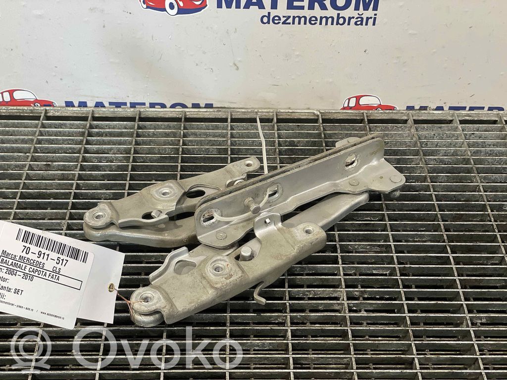 Mercedes-Benz CLS C219 Cerniere del vano motore/cofano