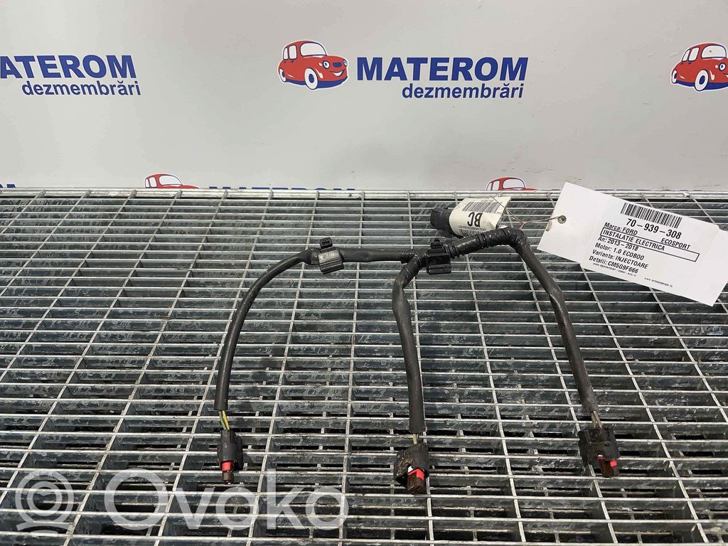 Ford Ecosport Cablaj motor 