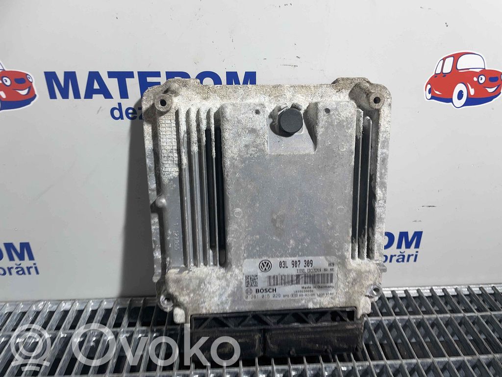 Centralina/modulo del motore   03L907309