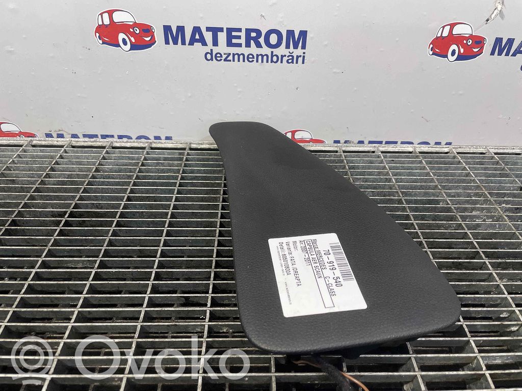 Sitz-Airbag   605010800A