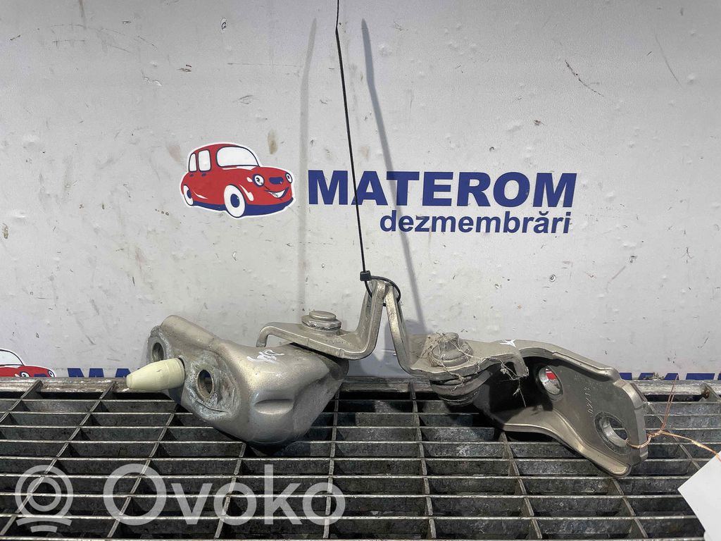 Ford B-MAX Balamale capotă 