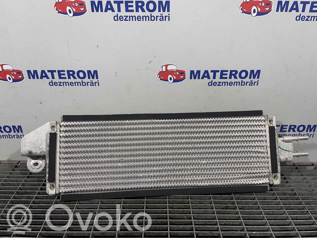 Jaguar F-Pace Radiatore del carburatore (radiatore) 