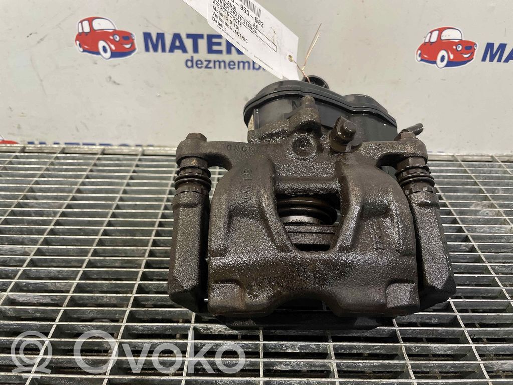 Takajarrusatula   8W0615403MSL7