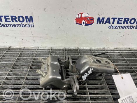 Nissan Qashqai Zawiasy drzwi tylnych / Komplet 