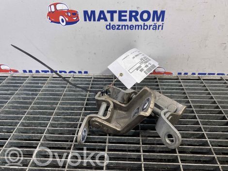 Renault Kadjar Set balamale ușă spate 
