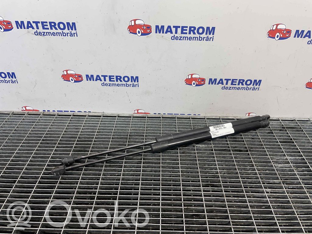 Seat Ateca Tailgate/trunk strut/damper 