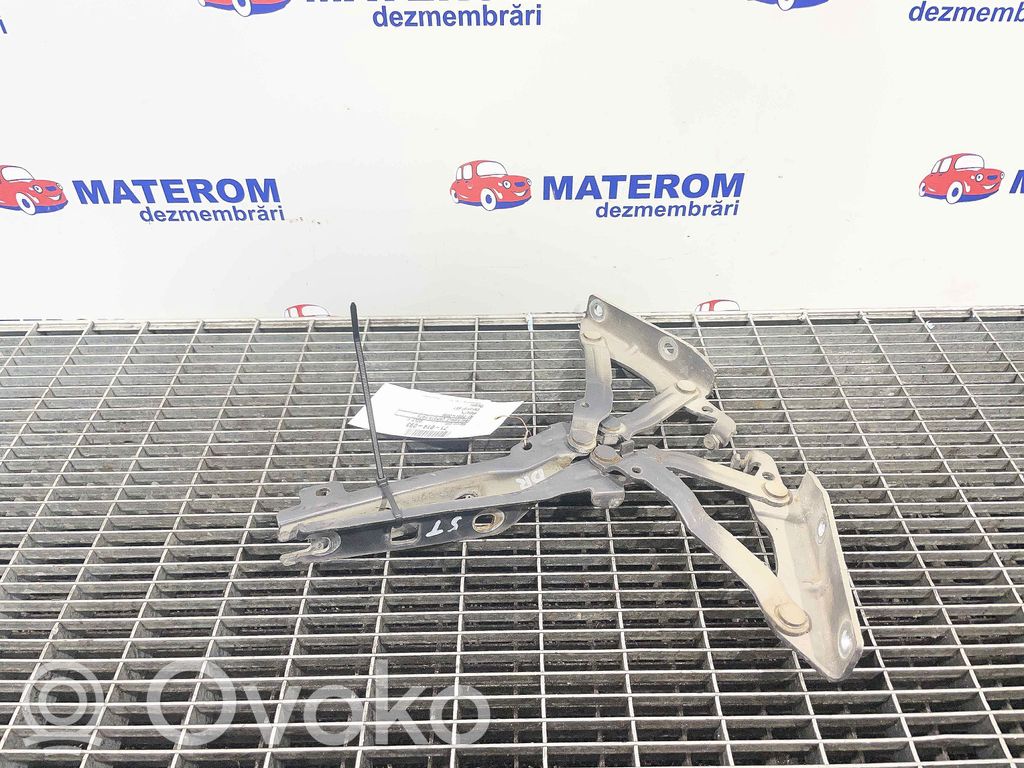 Volkswagen Golf V Cerniere del vano motore/cofano 