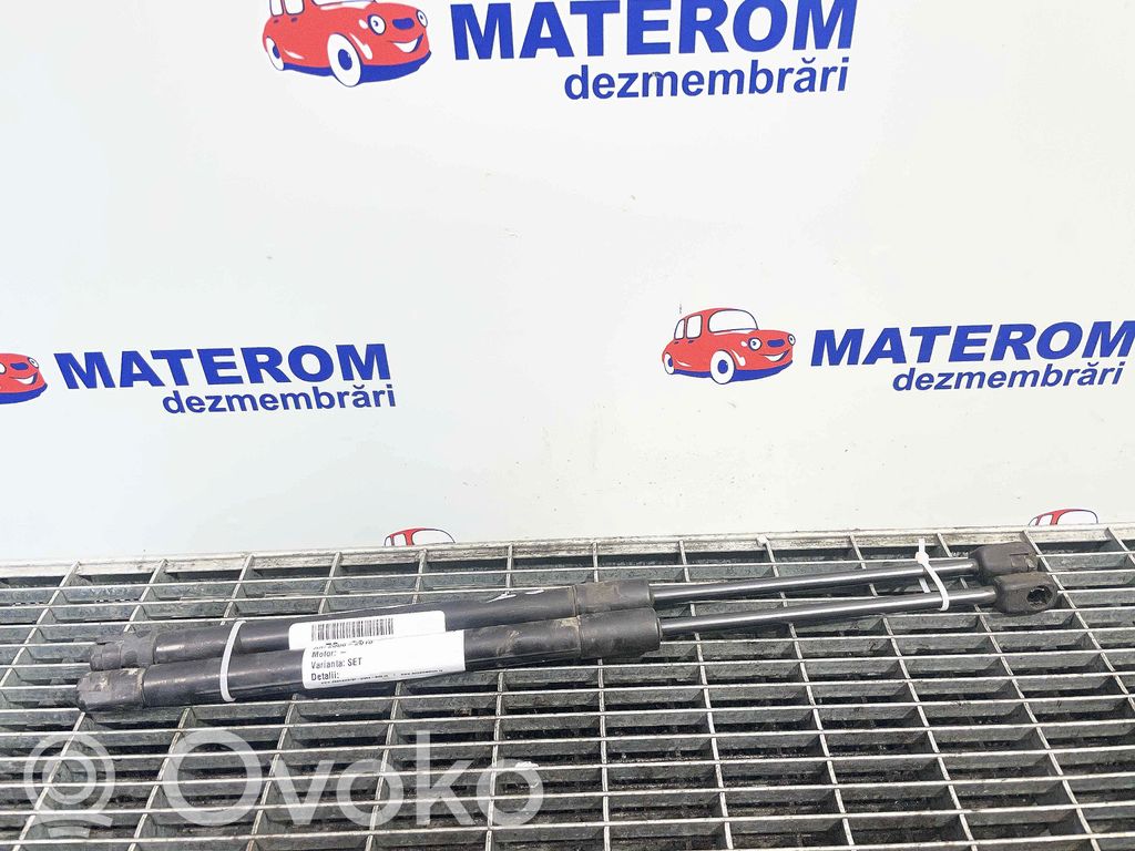 Opel Antara Amortizor capotă motor 