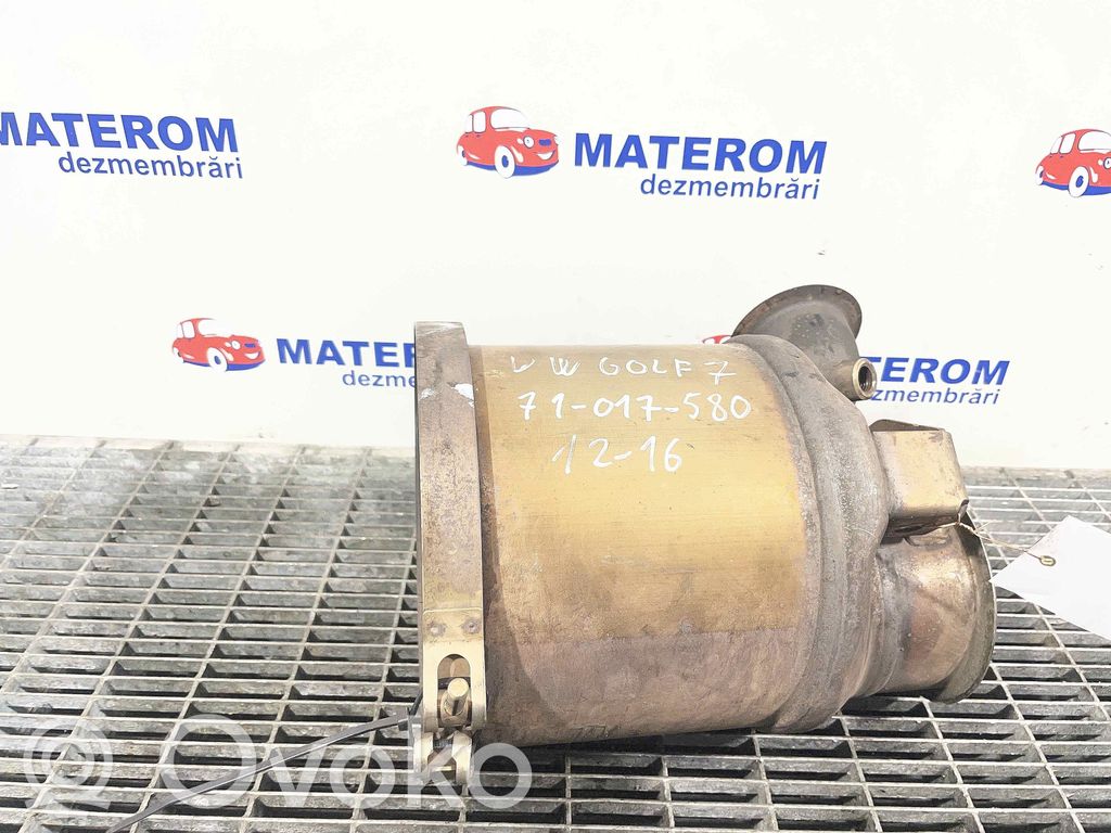 Volkswagen Golf VII Catalyst/FAP/DPF particulate filter 