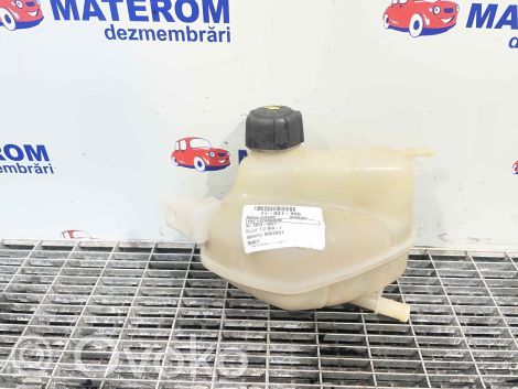 Nissan Qashqai Ausgleichsbehälter Kühlwasser