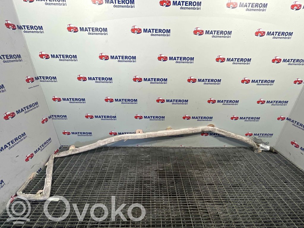 Airbag del techo   8E5880742C