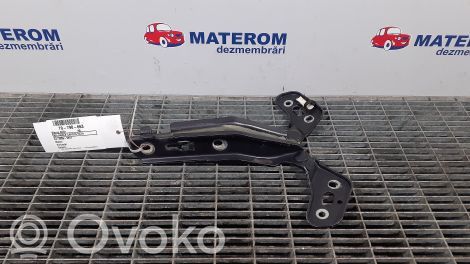 Cerniere del vano motore/cofano   4F0823301