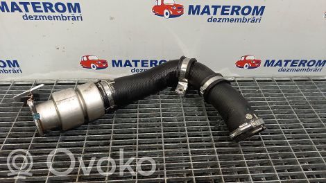 Ford Fiesta Furtun/conductă intercooler