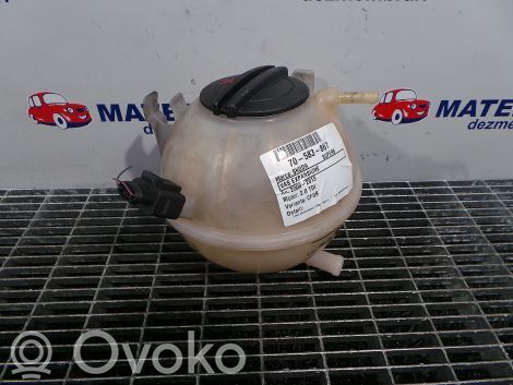 Skoda Superb B6 (3T) Serbatoio di compensazione del liquido refrigerante/vaschetta