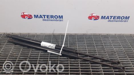 Volkswagen Sharan Amortizor hayon 
