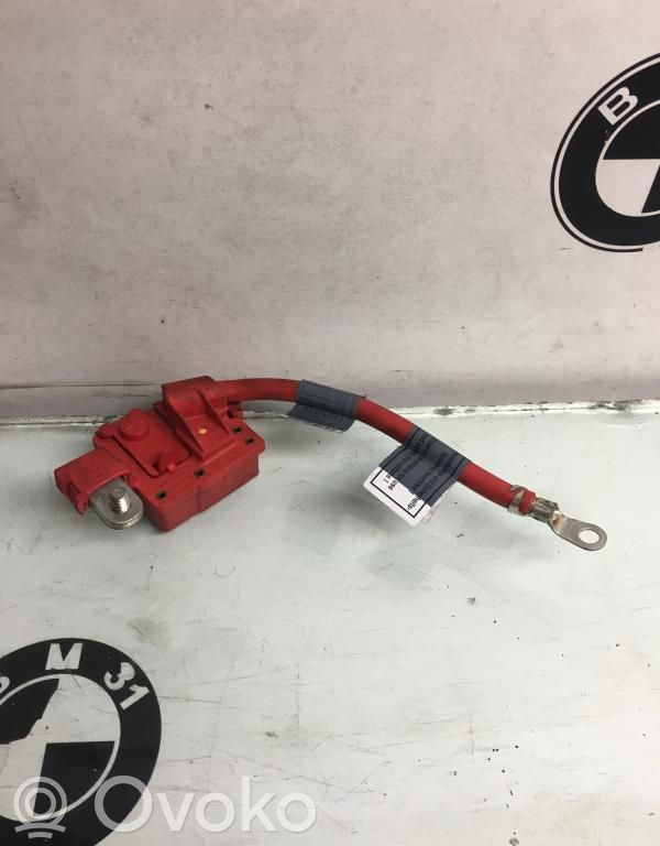 Car battery   61129217017