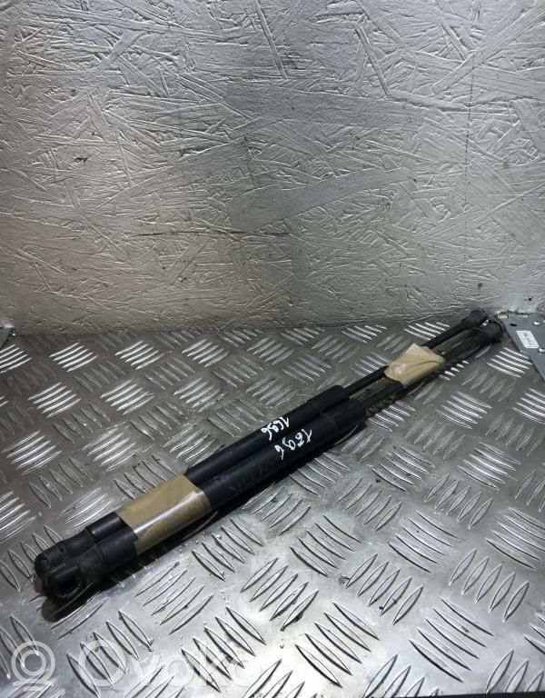 Tailgate/trunk strut/damper   51247060622