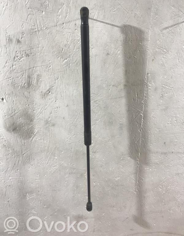 Tailgate/trunk strut/damper   51247127875