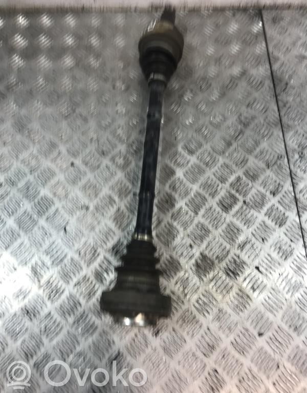 Galinis pusašis   33217533452