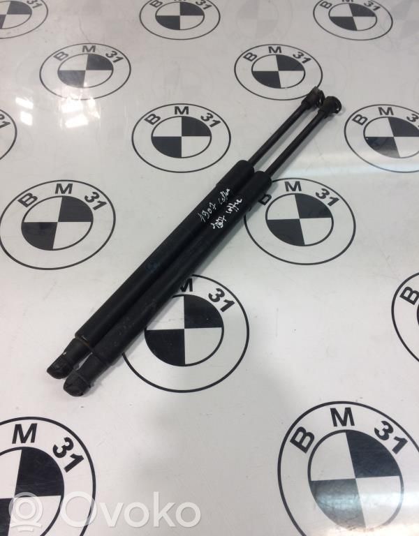 Tailgate/trunk strut/damper   51247129194