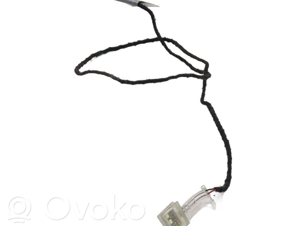 BMW 3 E92 E93 Luz interna puerta delantera 