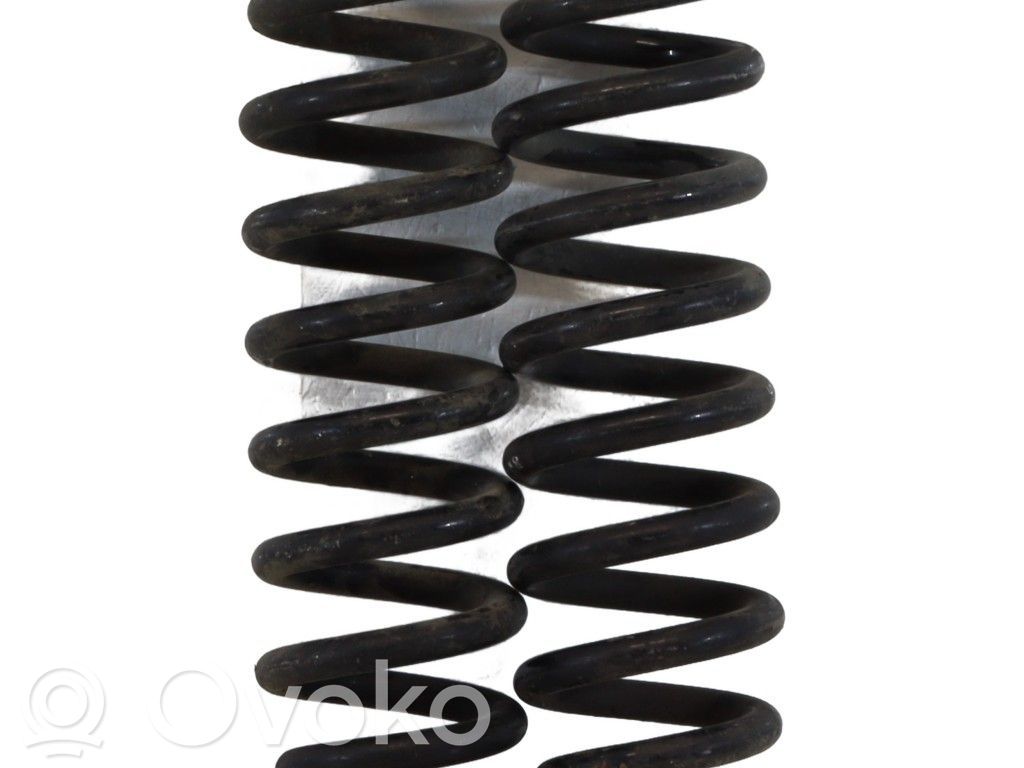 BMW X1 E84 Arc elicoidal spate 
