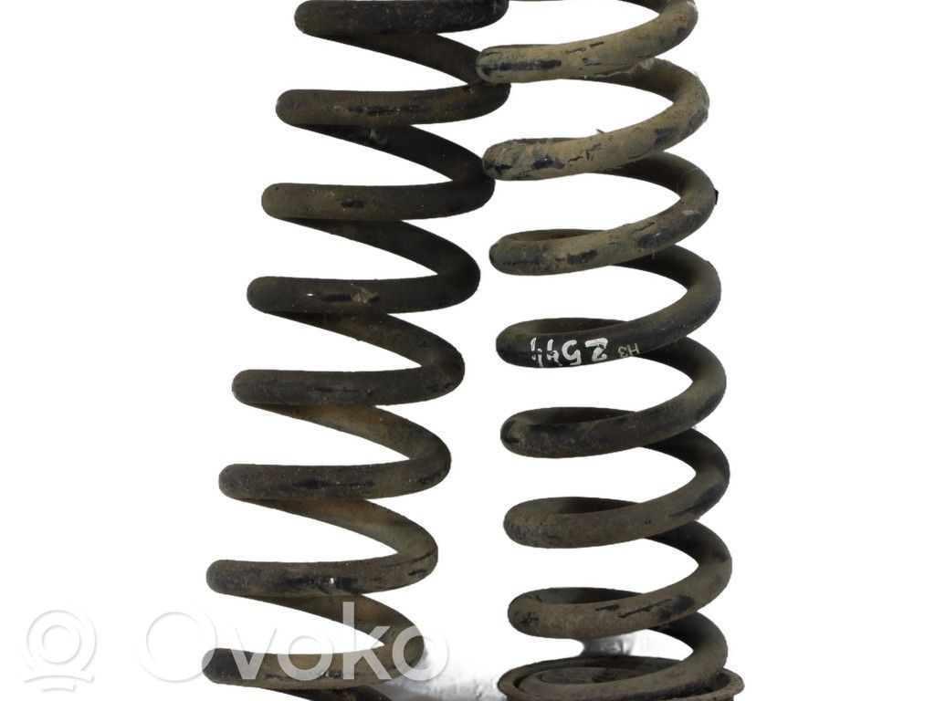 BMW X1 E84 Arc elicoidal spate 