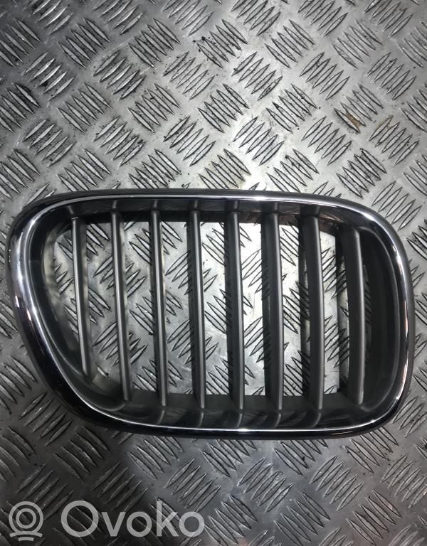 BMW X5 E53 Front bumper upper radiator grill 