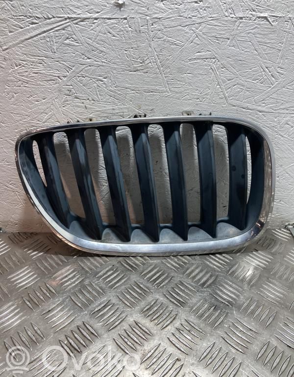 BMW X5 E53 Front bumper upper radiator grill 