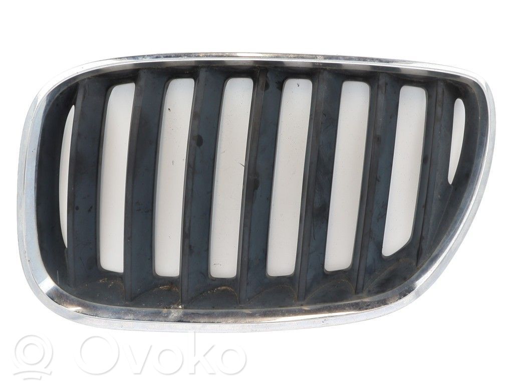 BMW X5 E53 Front bumper upper radiator grill 
